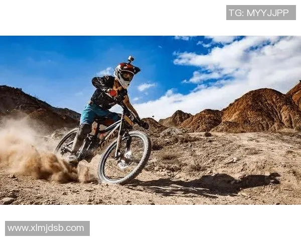 成都极限运动队灵活性变革引发热议探索新趋势与挑战