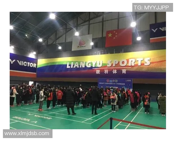 南京羽毛球队的实力分析与发展潜力探讨