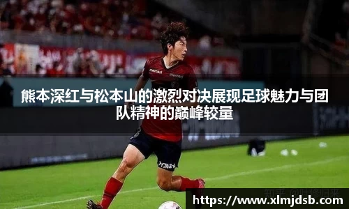 乐鱼体育APP
